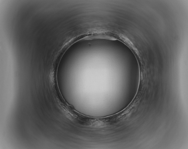 X0000116320249200912091025