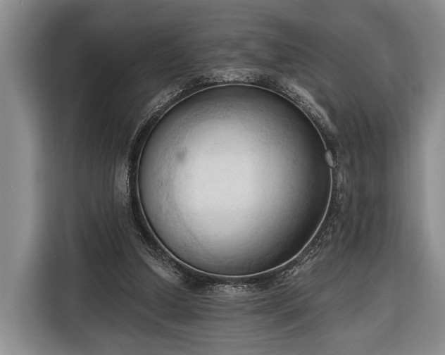 X0000116320250200912091025