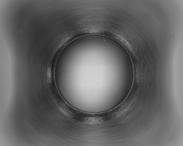 X0000116320251200912091025