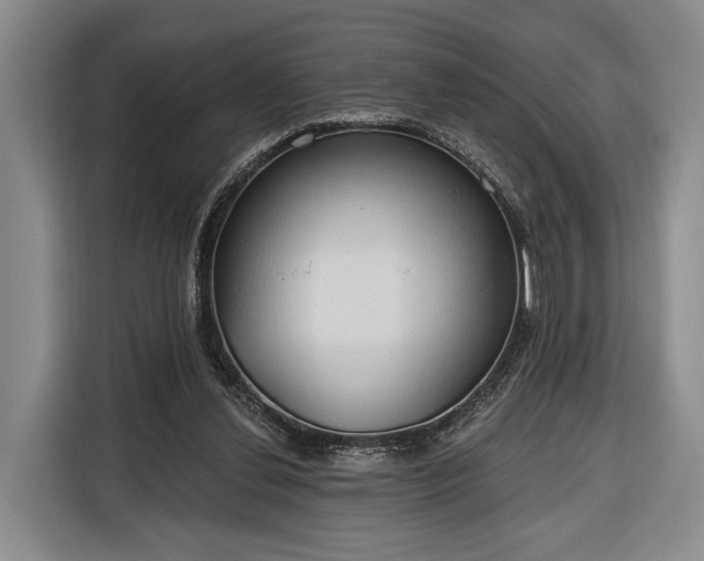 X0000116320252200912091025