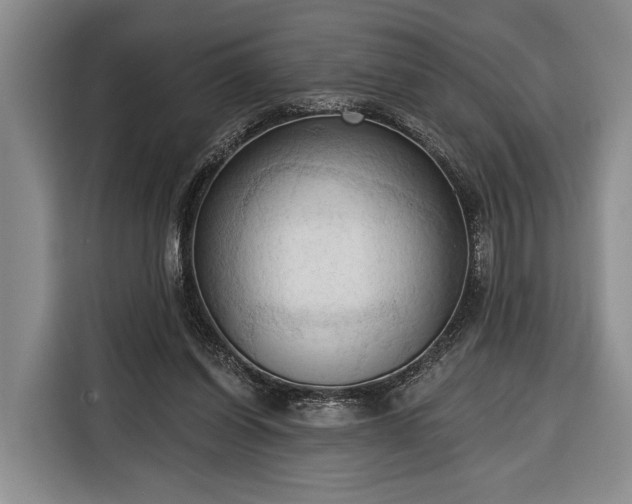 X0000116320254200912091025