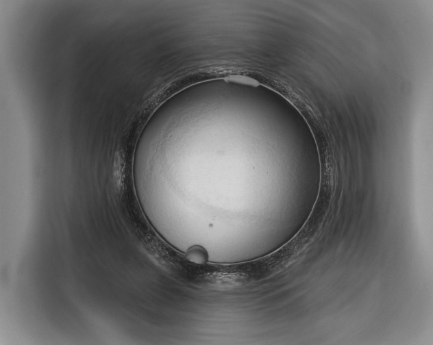 X0000116320255200912091025