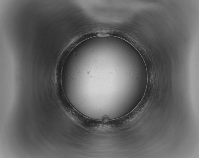 X0000116320256200912091025