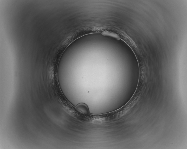 X0000116320257200912091025