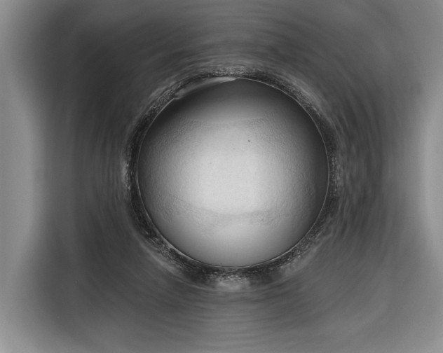 X0000116320258200912091025