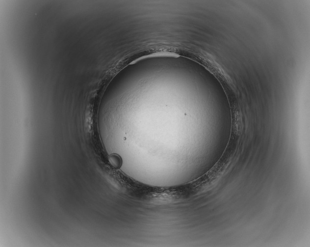 X0000116320259200912091025