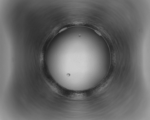 X0000116320260200912091025