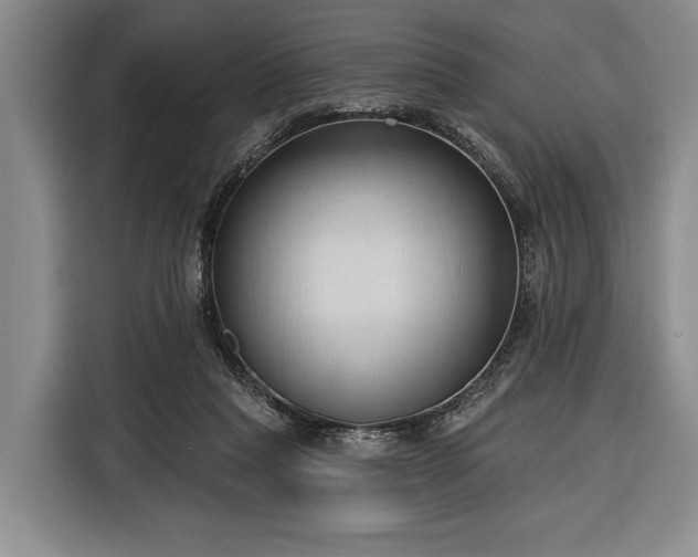 X0000116320261200912091025