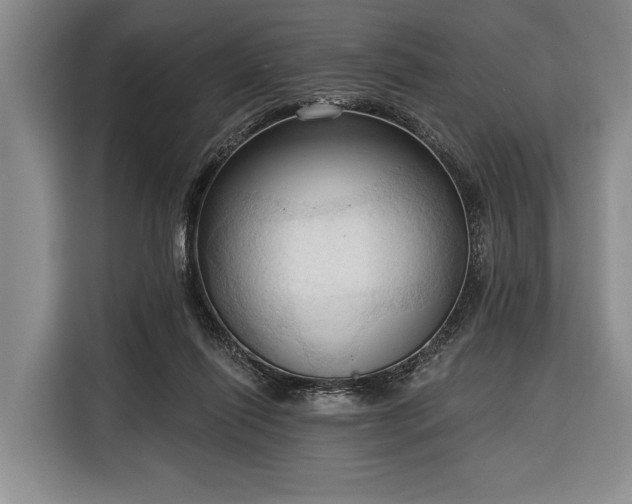 X0000116320262200912091025