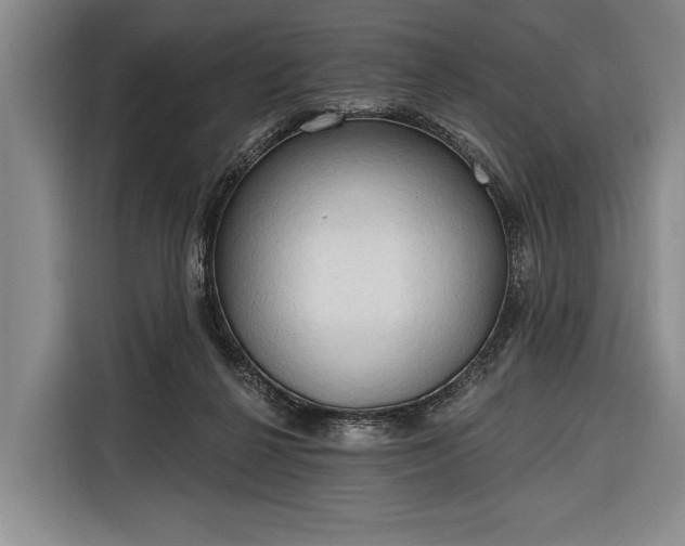 X0000116320264200912091025