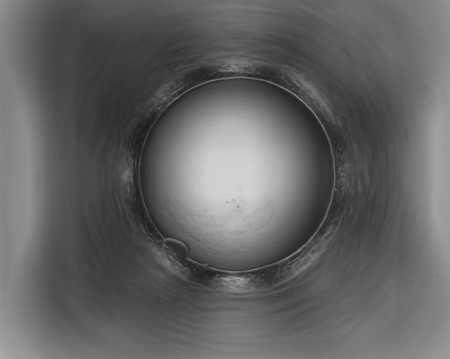 X0000116320265200912091025