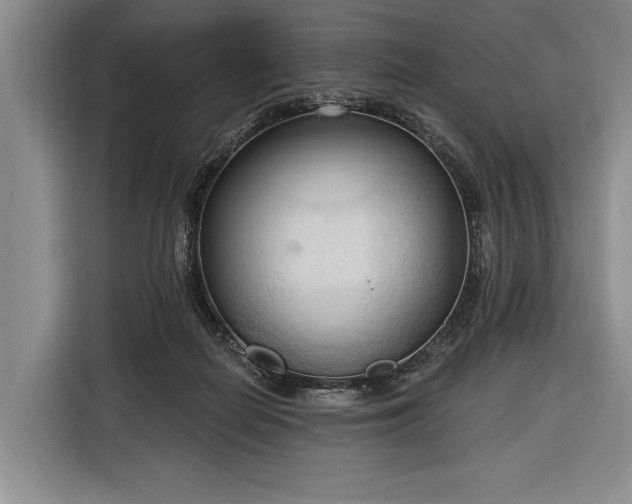 X0000116320266200912091025