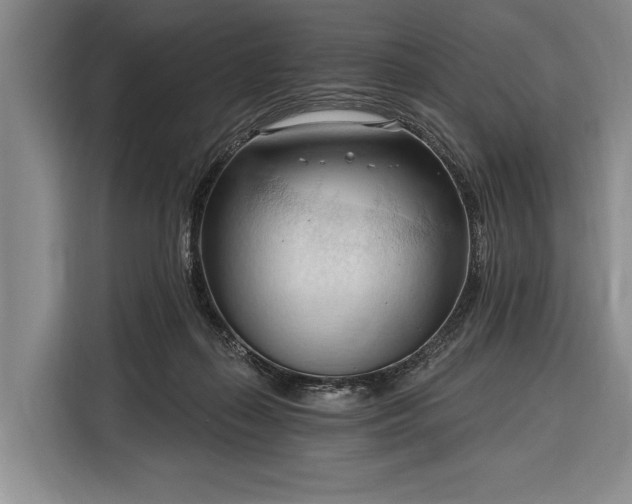 X0000116320267200912091025