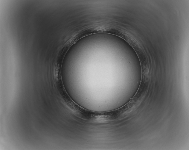 X0000116320268200912091025