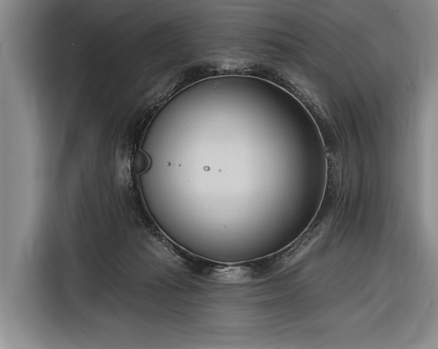 X0000116320269200912091025