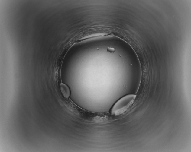 X0000116320271200912091025