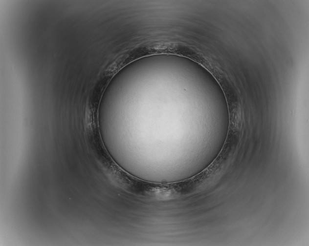 X0000116320272200912091025