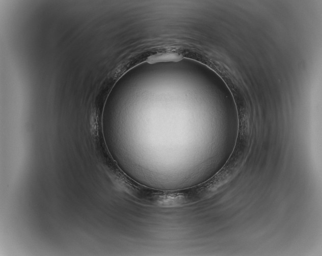 X0000116320274200912091025