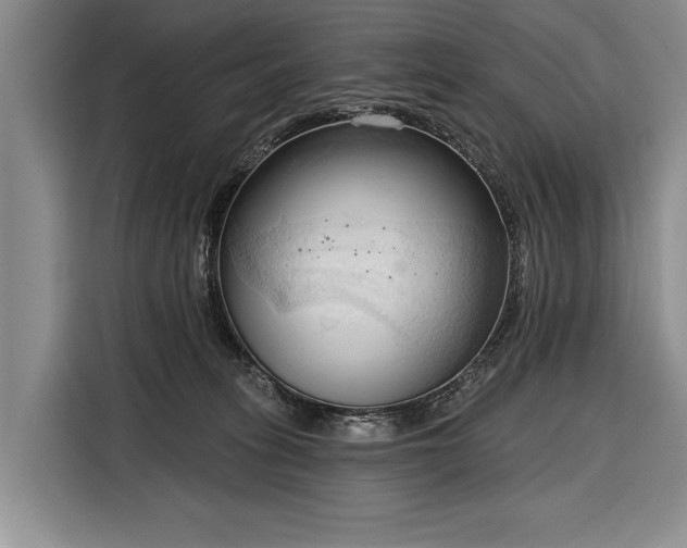 X0000116320275200912091025