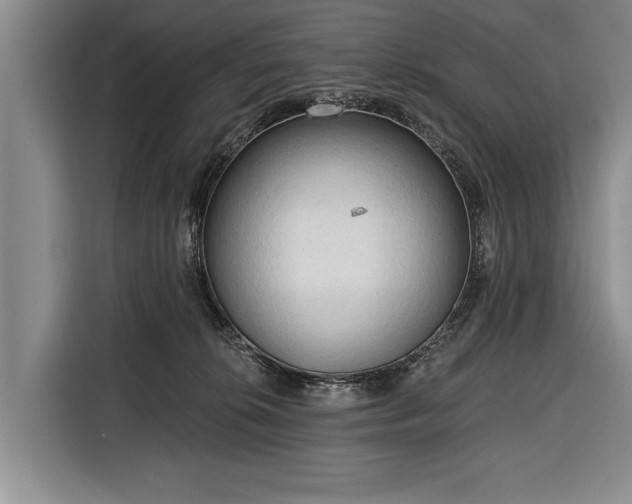 X0000116320276200912091025