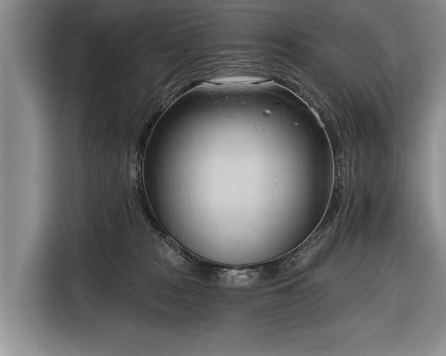 X0000116320277200912091025