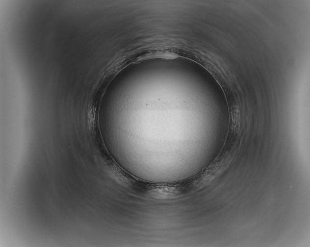 X0000116320278200912091025