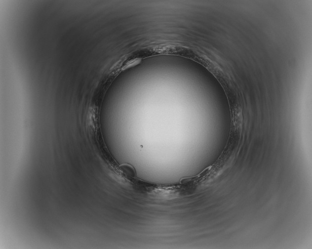 X0000116320280200912091025