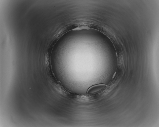 X0000116320282200912091025