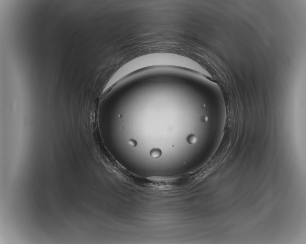 X0000116320284200912091025