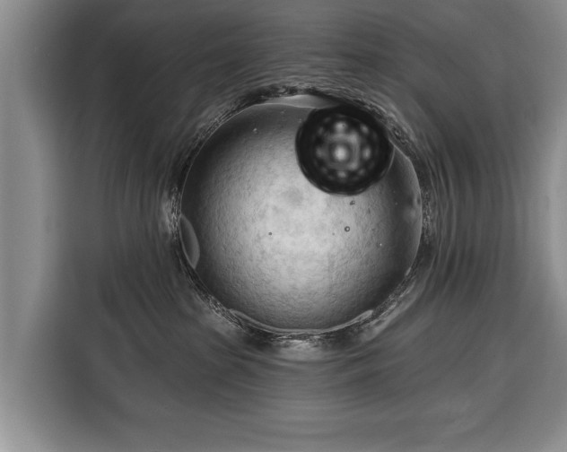 X0000116320285200912091025