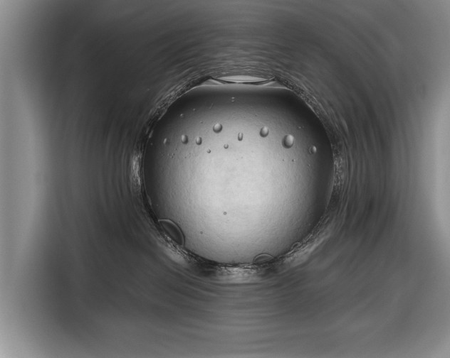 X0000116320286200912091025