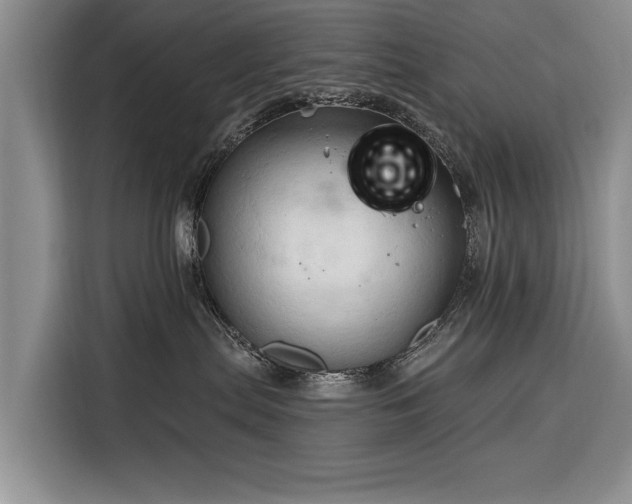 X0000116320287200912091025