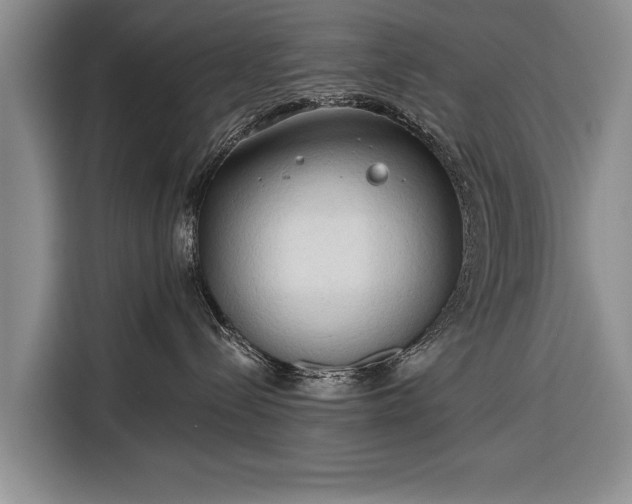 X0000116320288200912091025