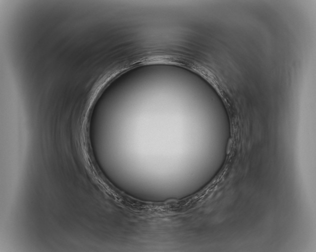 X0000116320289200912091025