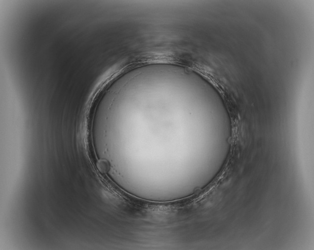 X0000116320293200912091025