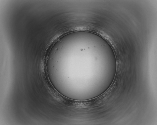 X0000116320297200912091025