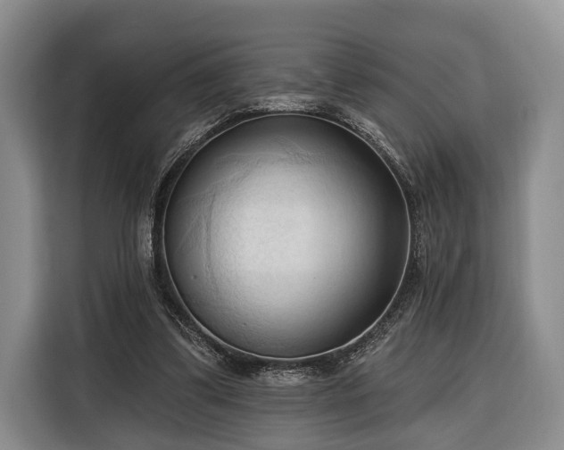 X0000116320299200912091024