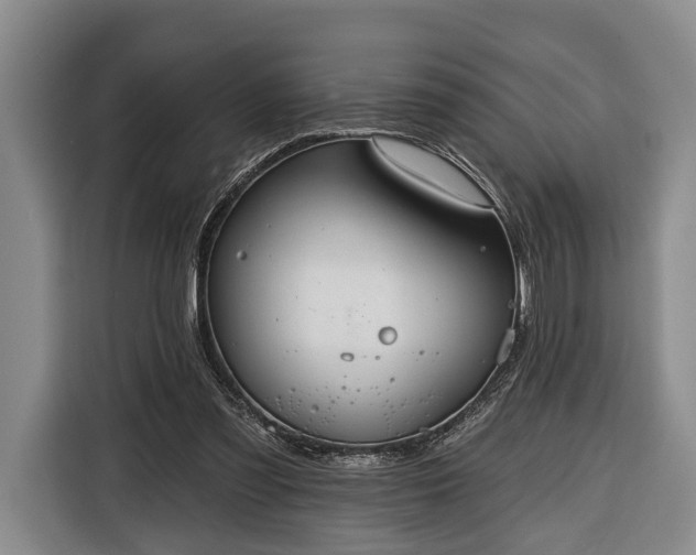 X0000116320301200912091024