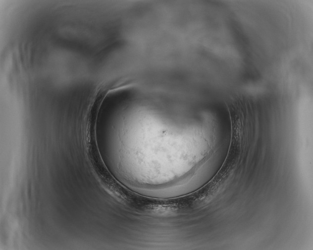 X0000116320303200912091024