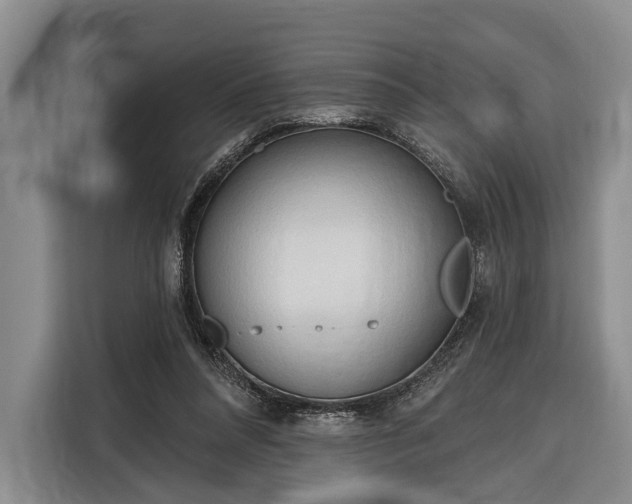 X0000116320304200912091024