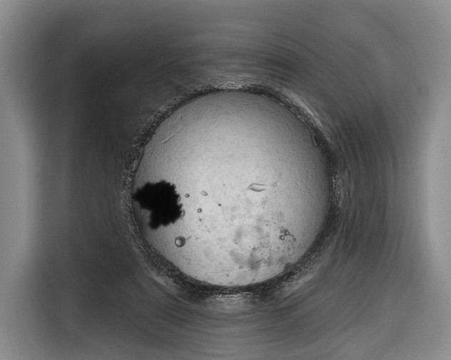 X0000116320307200912091024