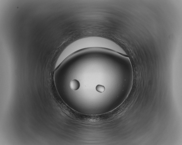 X0000116320308200912091024