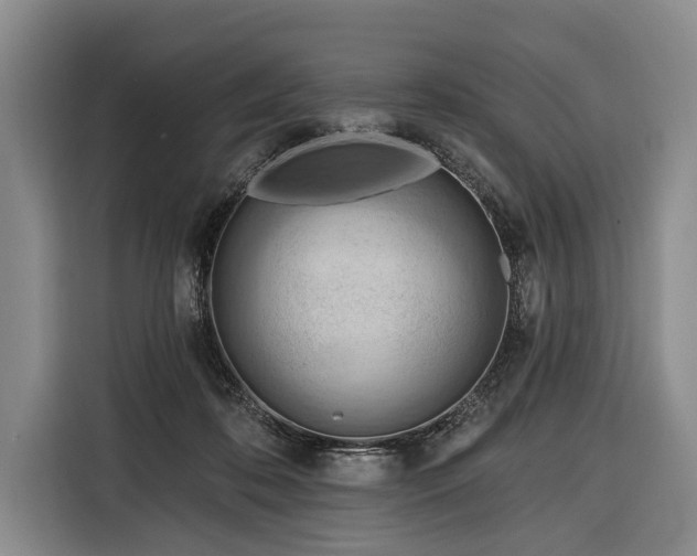 X0000116320316200912091024