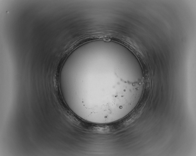 X0000116320317200912091024