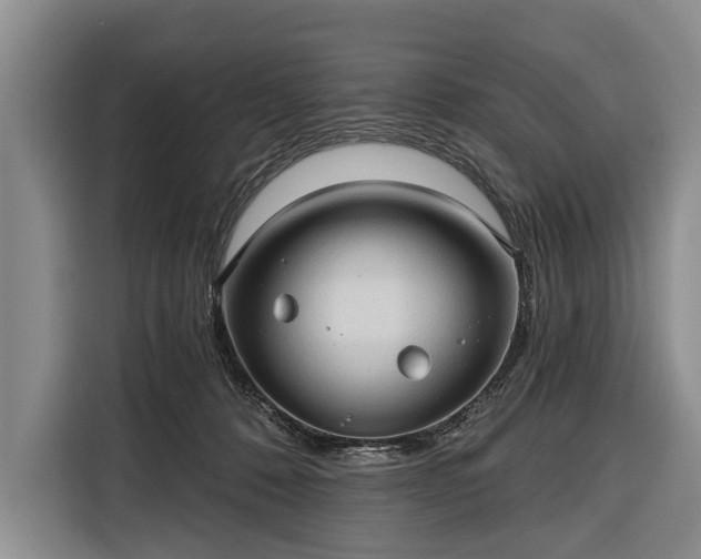 X0000116320320200912091024