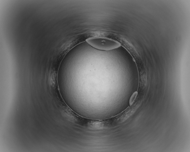 X0000116320325200912091024