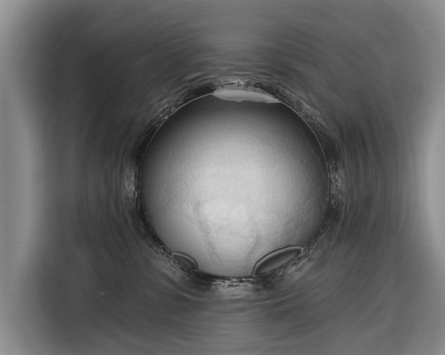 X0000116320331200912091024