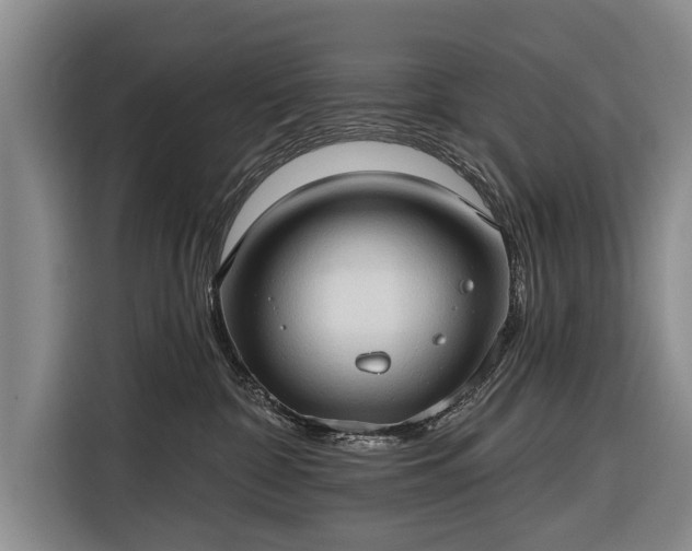 X0000116320332200912091024