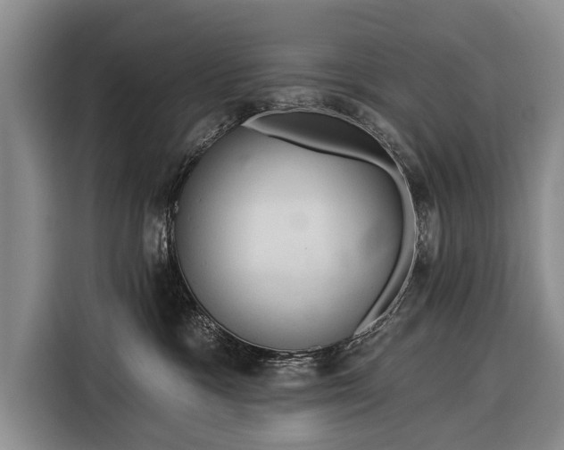 X0000116320333200912091024