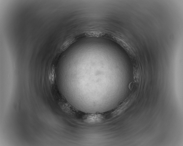 X0000116320334200912091024